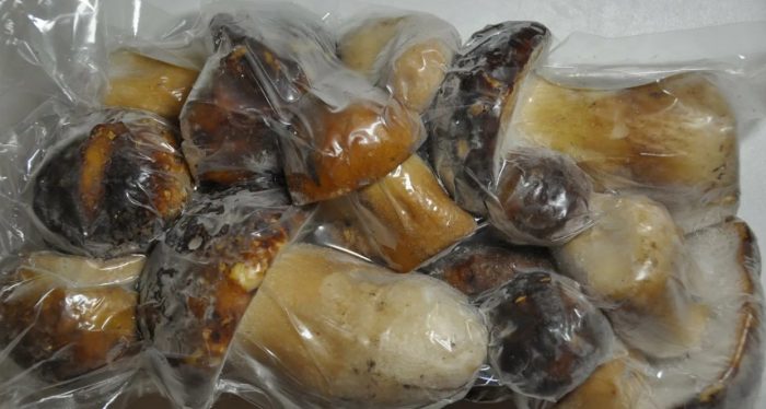 Isang serving ng frozen porcini mushrooms