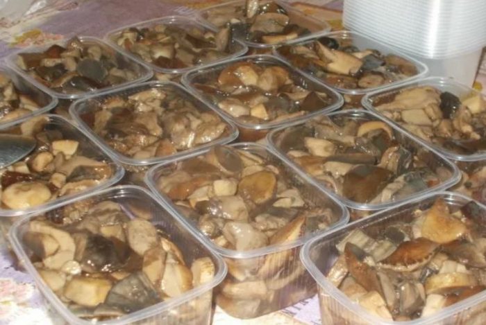 Lutong porcini na nakapirming niluto