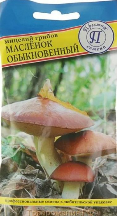 Binili na mycelium