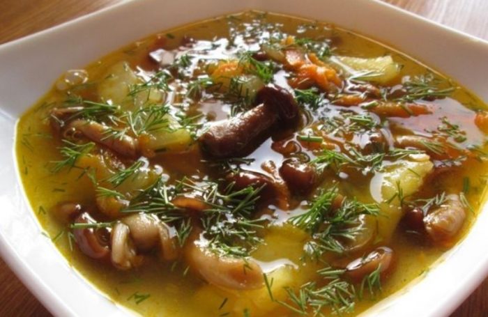 Sopas na kabute ng pulot