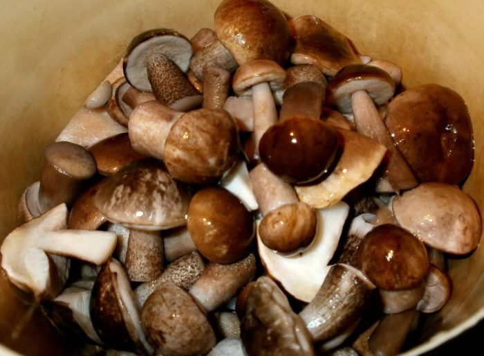 Inasnan na boletus mushroom