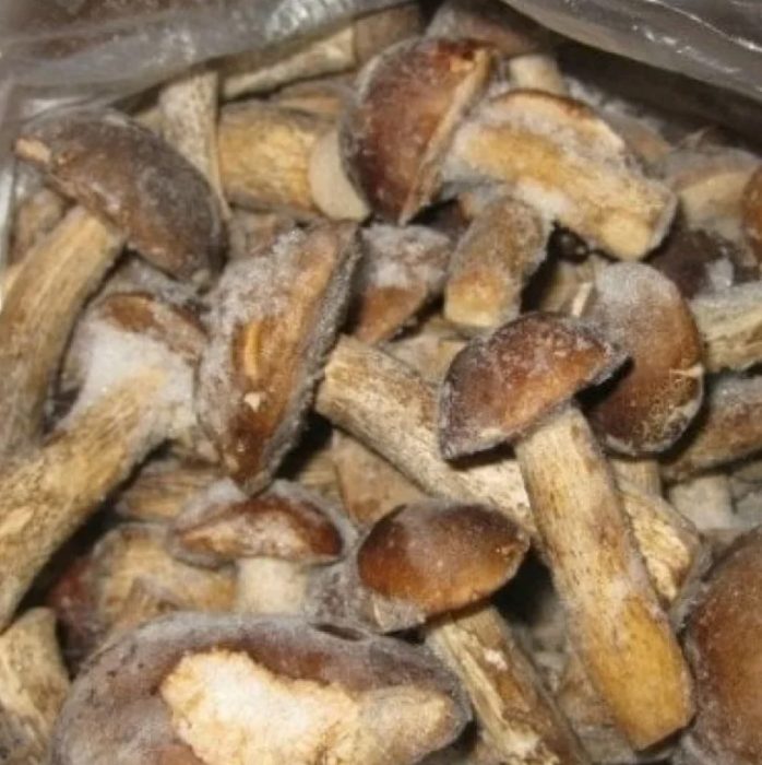 Pagyeyelong mga kabute ng boletus