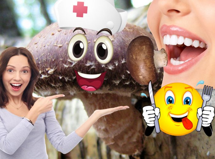Hindi pangkaraniwang mga kabute ng shiitake