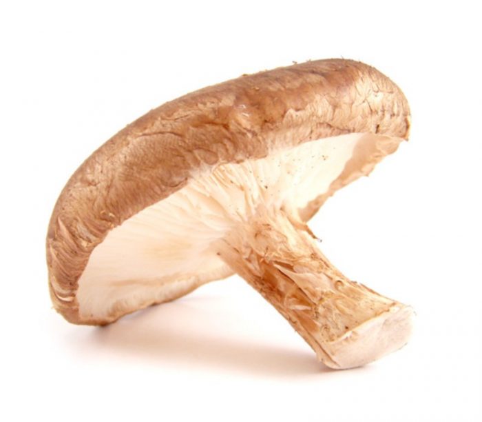 Kabute ng Shiitake