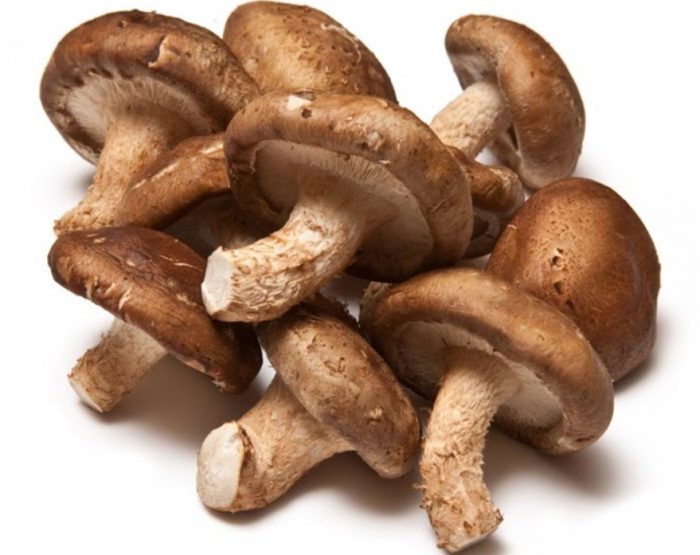 Ano ang hitsura ng mga kabute ng shiitake?