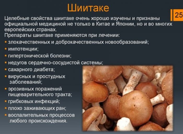 Mga Benepisyo ng Shiitake Mushrooms