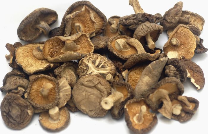 Pinatuyong shiitake mushroom