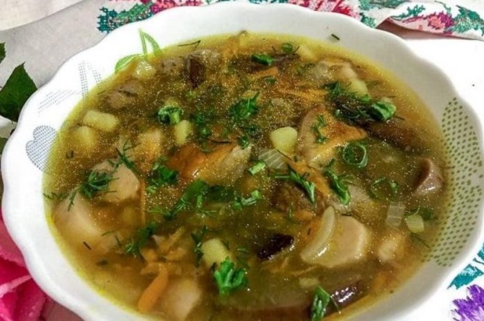 Sopas na kabute ng Porcini
