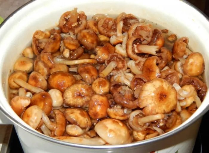 Pagluluto ng mga kabute ng pulot sa isang kasirola