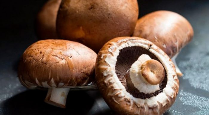 Malalaking champignon