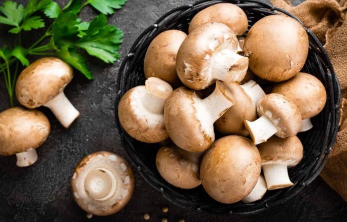 Champignon sa isang plato
