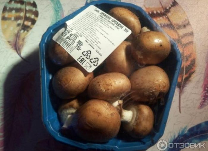 Isang pakete ng mga royal champignon