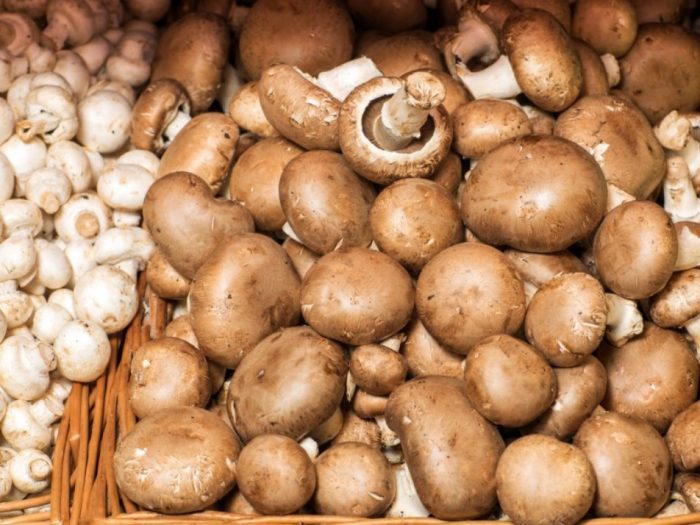 Paghahambing ng mga champignon