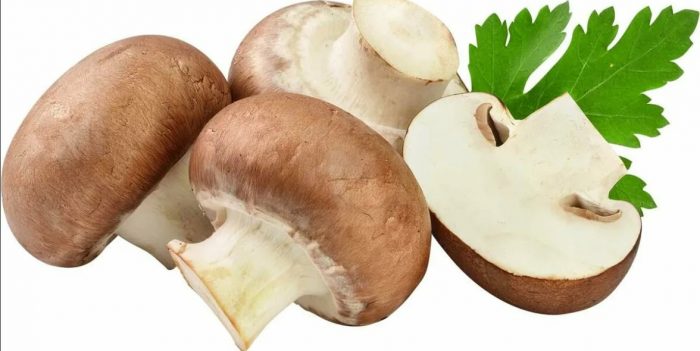 Mga maharlikang champignon