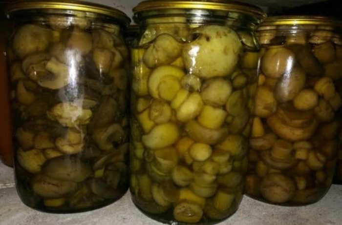 Mga de-latang champignon