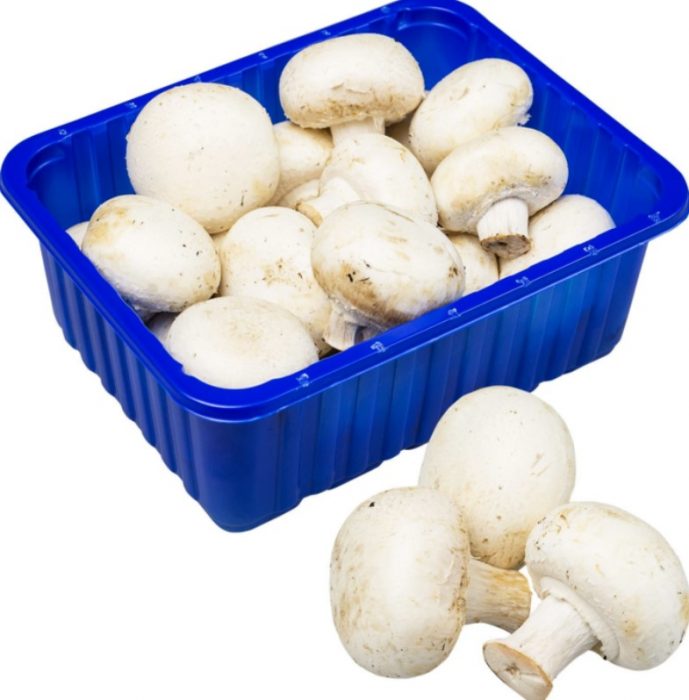 Mga champignon na binili sa tindahan