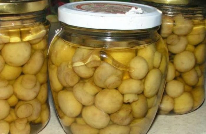 Mga de-latang champignon