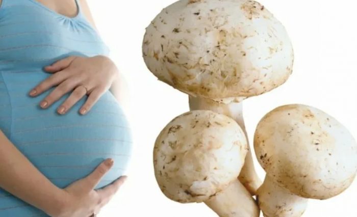 Mga Champignon at pagbubuntis