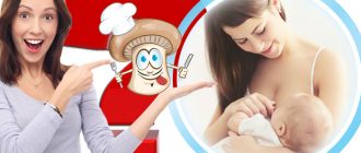 Maaari bang kumain ng mga champignon ang mga nagpapasusong ina?