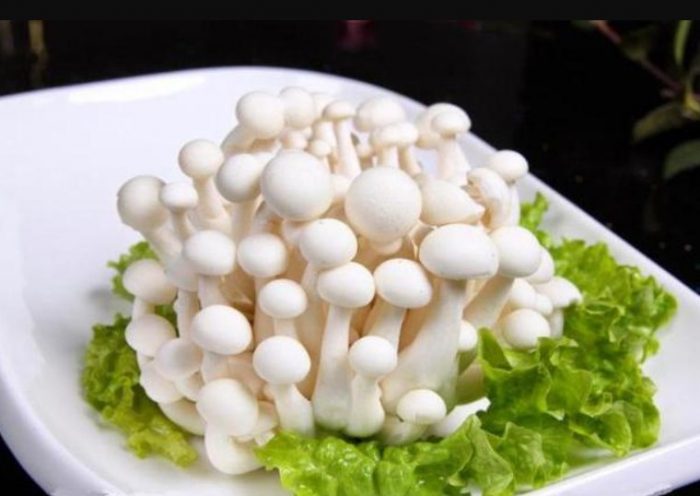 Mga Champignon sa isang plato
