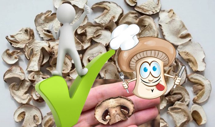 Mga benepisyo ng pinatuyong champignon