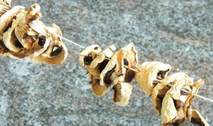 Pagpapatuyo ng mga champignon sa isang tali