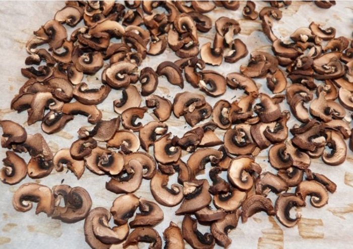 Pagpapatuyo ng mga champignon