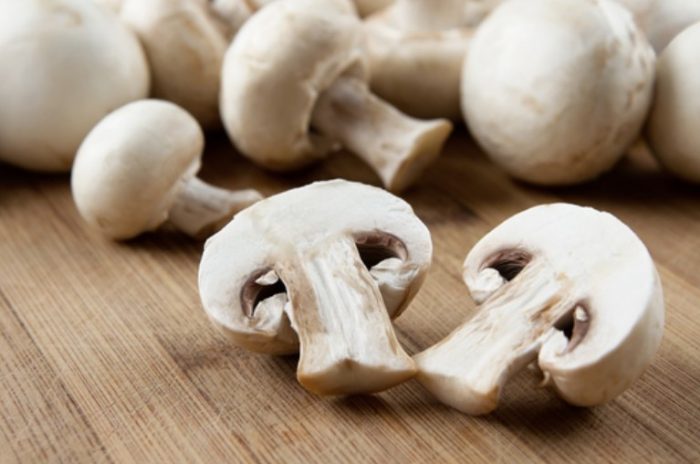 Mga hilaw na champignon