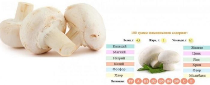 Komposisyon ng mga hilaw na champignon