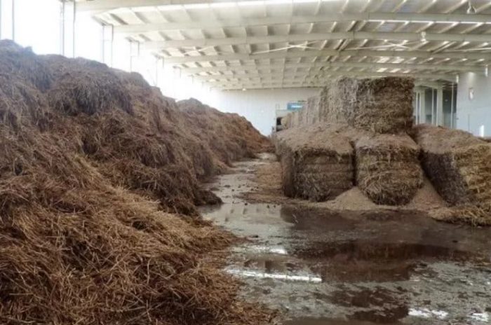 Paghahanda ng silid para sa pag-compost