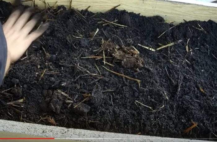 Substrate para sa pagtatanim ng mga champignon