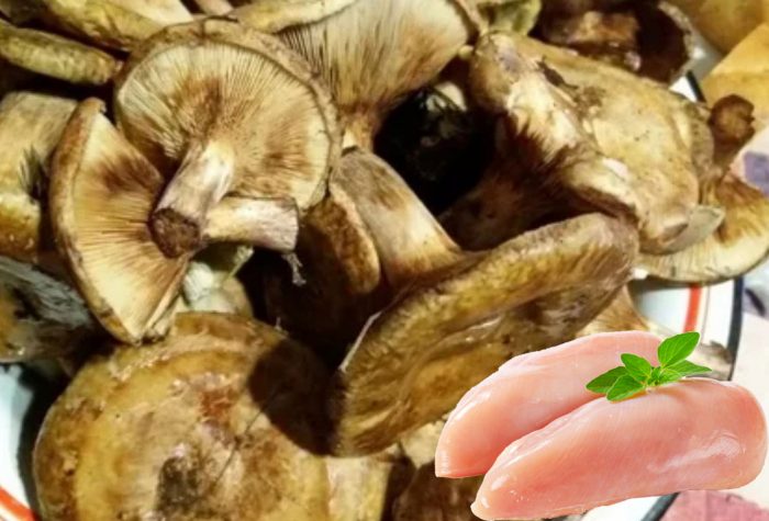 Prasiatka s kuracím mäsom