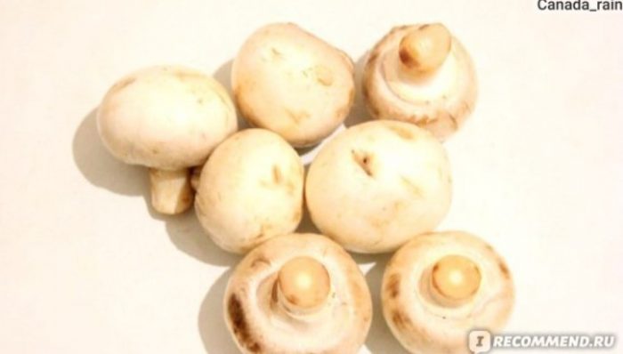 Mga hilaw na champignon