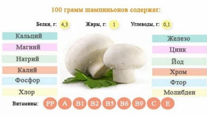 Komposisyon ng mga champignon