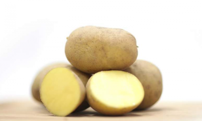Mga tuber sa seksyon
