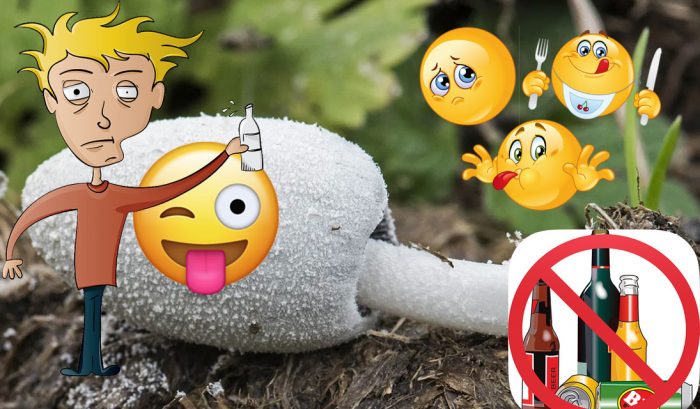 Mushroom na may dumi para sa alkoholismo