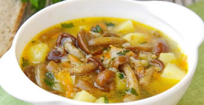 Sopas na kabute ng pulot