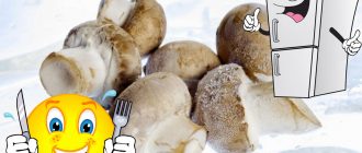 Mga nakapirming champignon