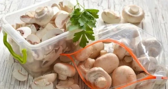 Lalagyan para sa mga champignon