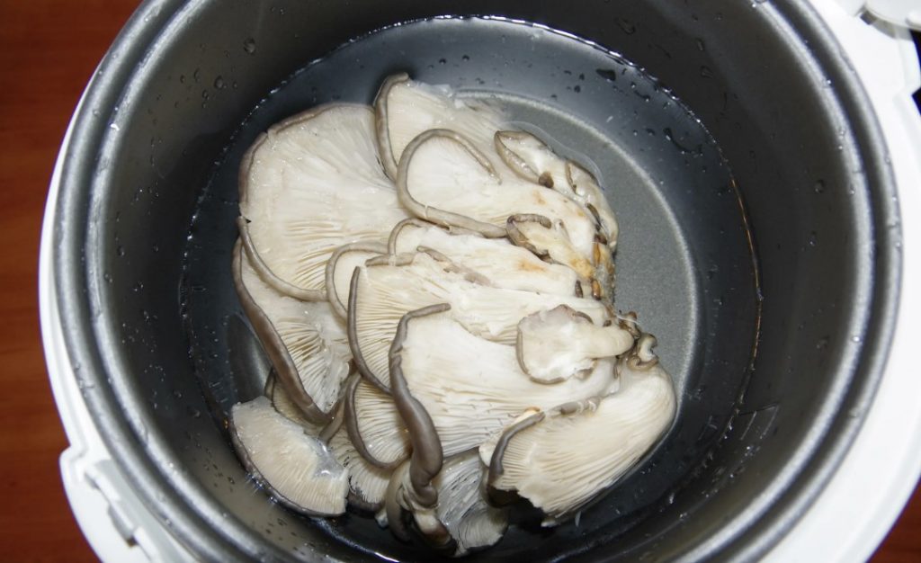 Pagluluto ng mga kabute ng talaba