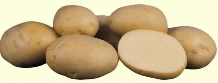 Mga tuber ng patatas na Ariel
