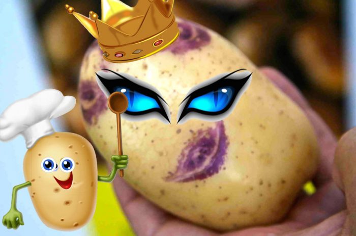 Mga patatas na may asul na mata