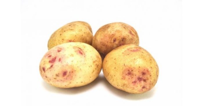Mga patatas ng uri ng Sineglazki