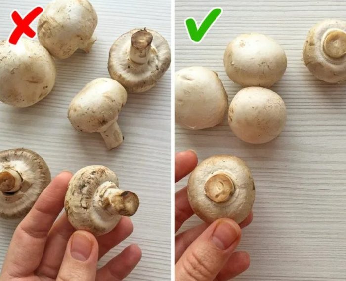 Mga nasirang champignon