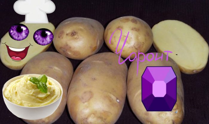 Uri ng patatas na Charoite at Charoite stone