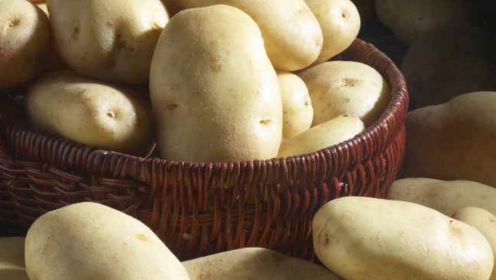Mga hinugasan na tubers ng patatas ng uri ng Charoite