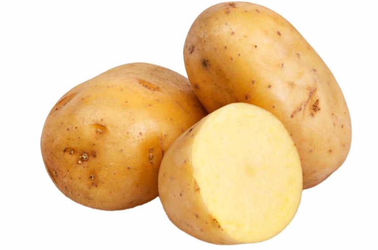 Tuber sa seksyon