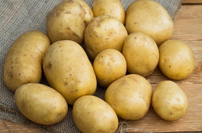 Mga tuber ng uri ng Golubizna