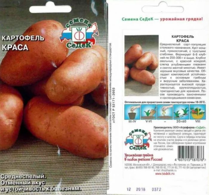 Mga buto ng patatas