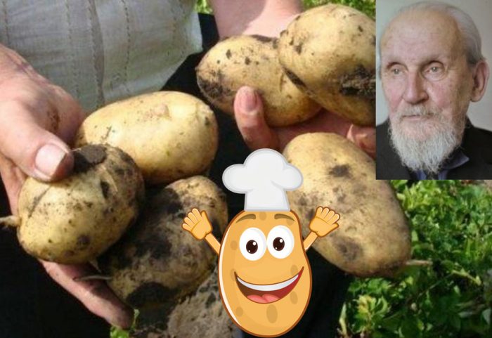 Uri ng patatas na Lorkh